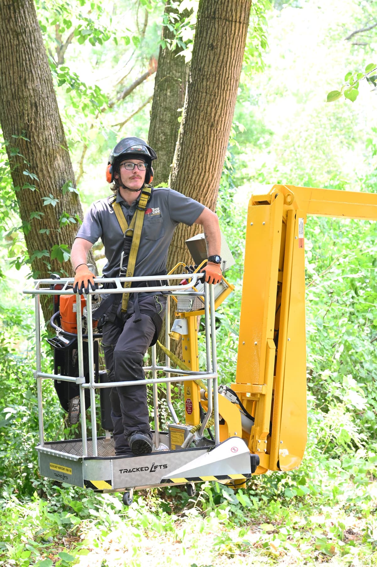 Tree Service Worker Performing Hazardous Tree Removal.