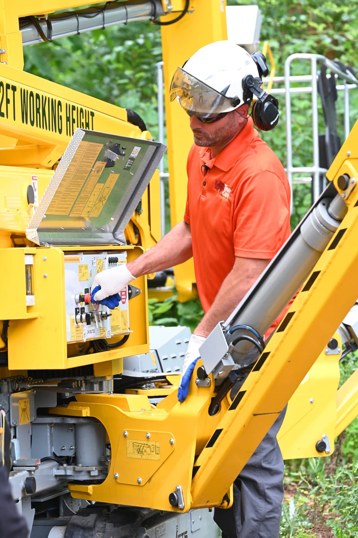 Tree Care Enterprises crew on a job site