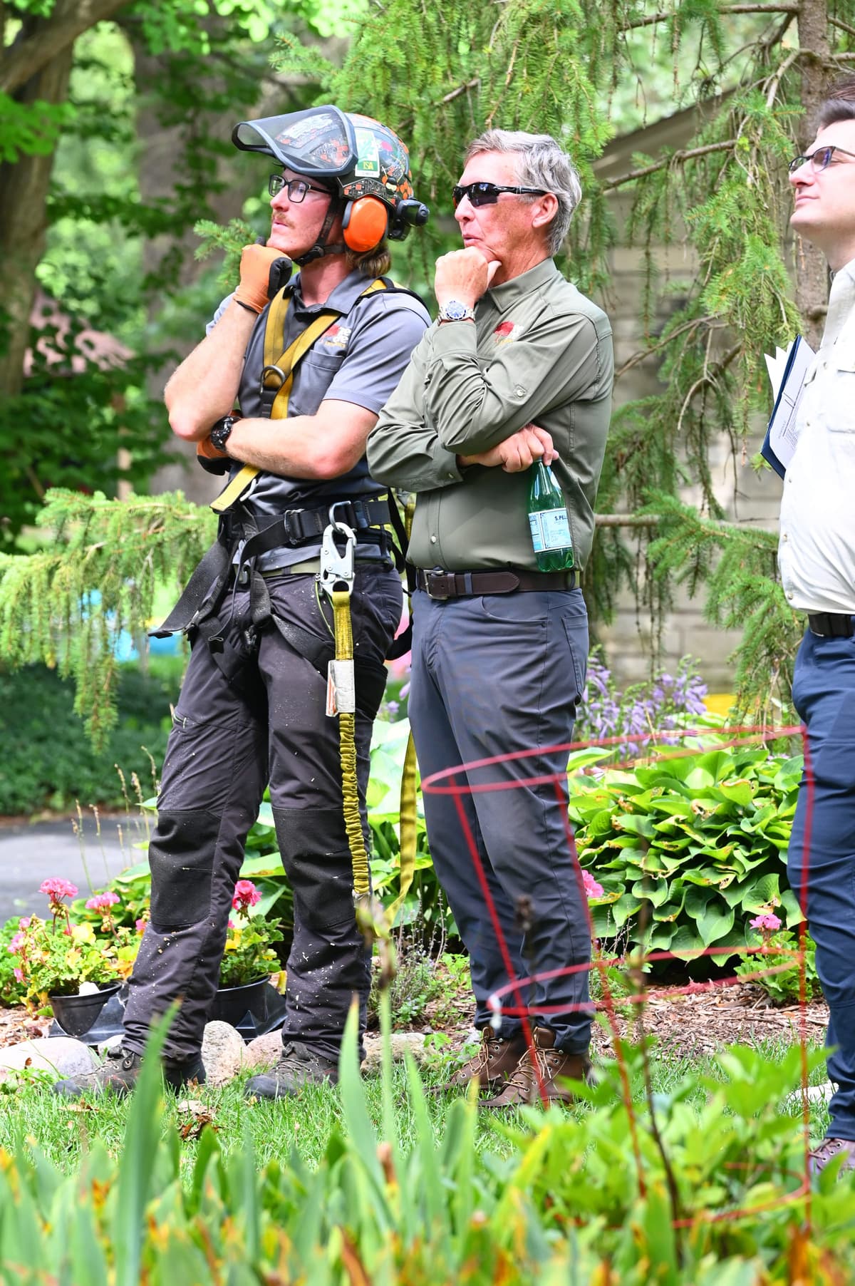 Tree Care Enterprises crew on a job site