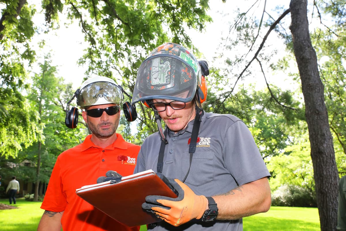 Tree Care Enterprises crew on a job site