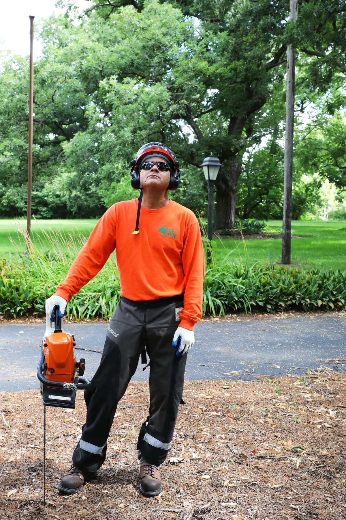 Tree Care Enterprises crew on a job site
