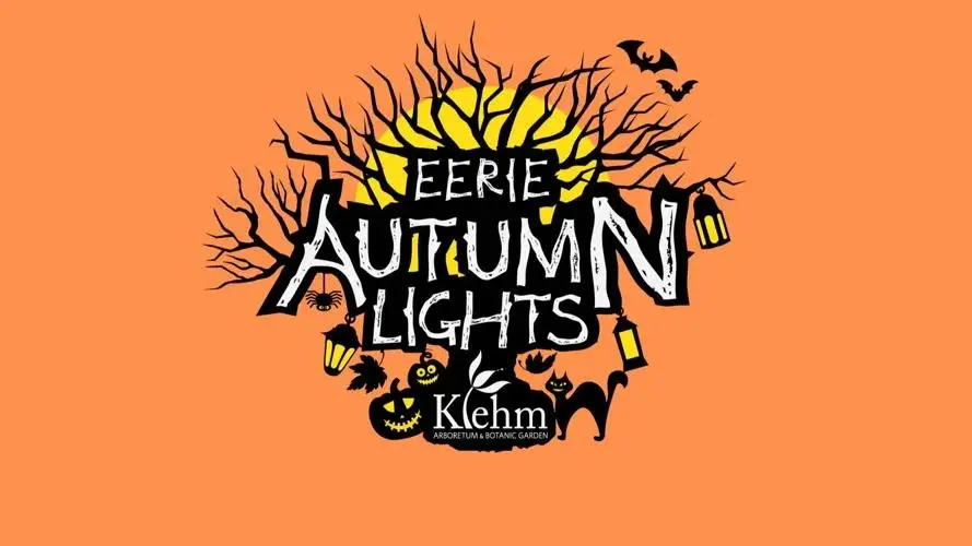 Klehm Arboretum kicks off stunning Eerie Autumn Lights experience