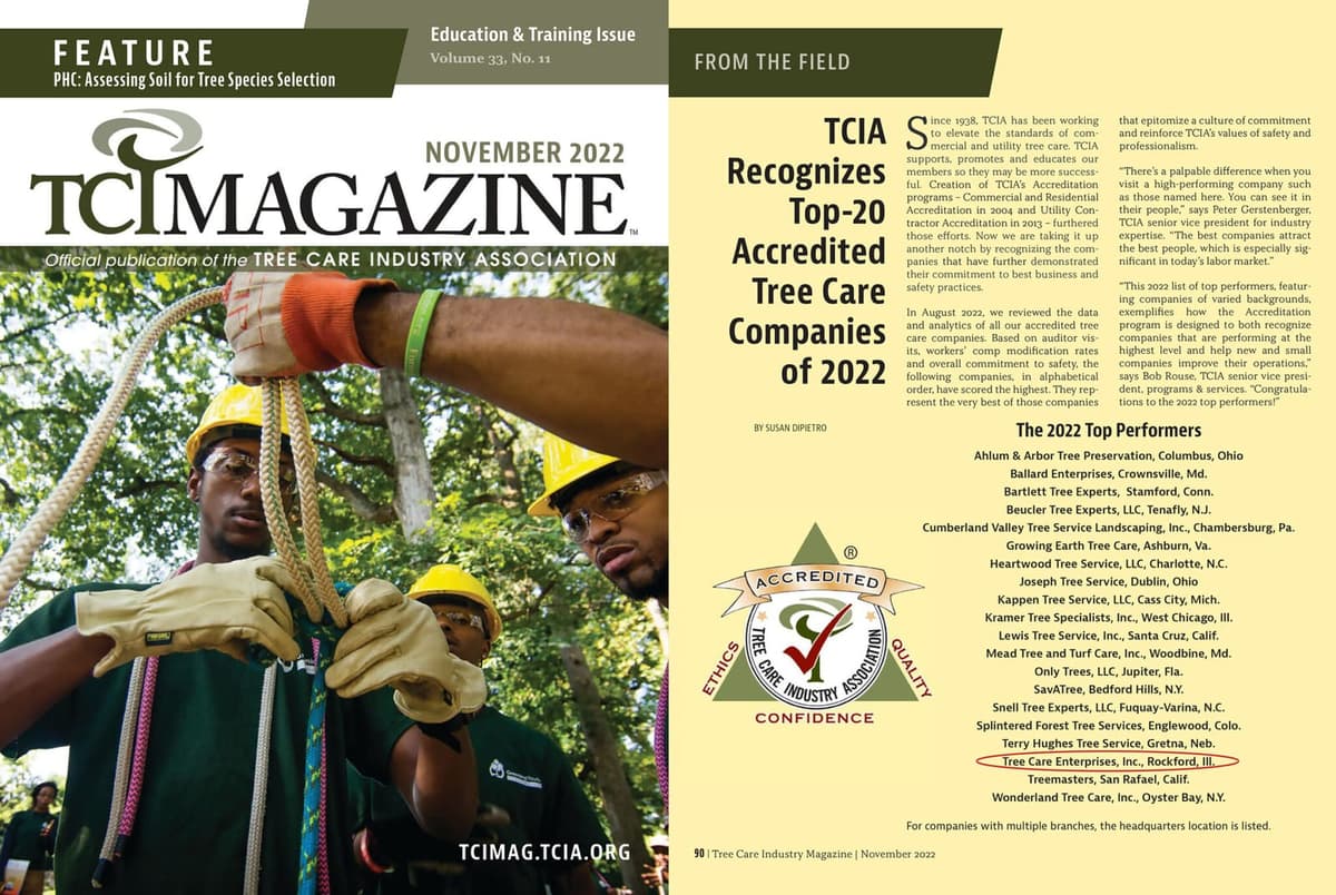 Tree Care Enterprises Wins National Recognition
