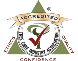 TCIA Accredited