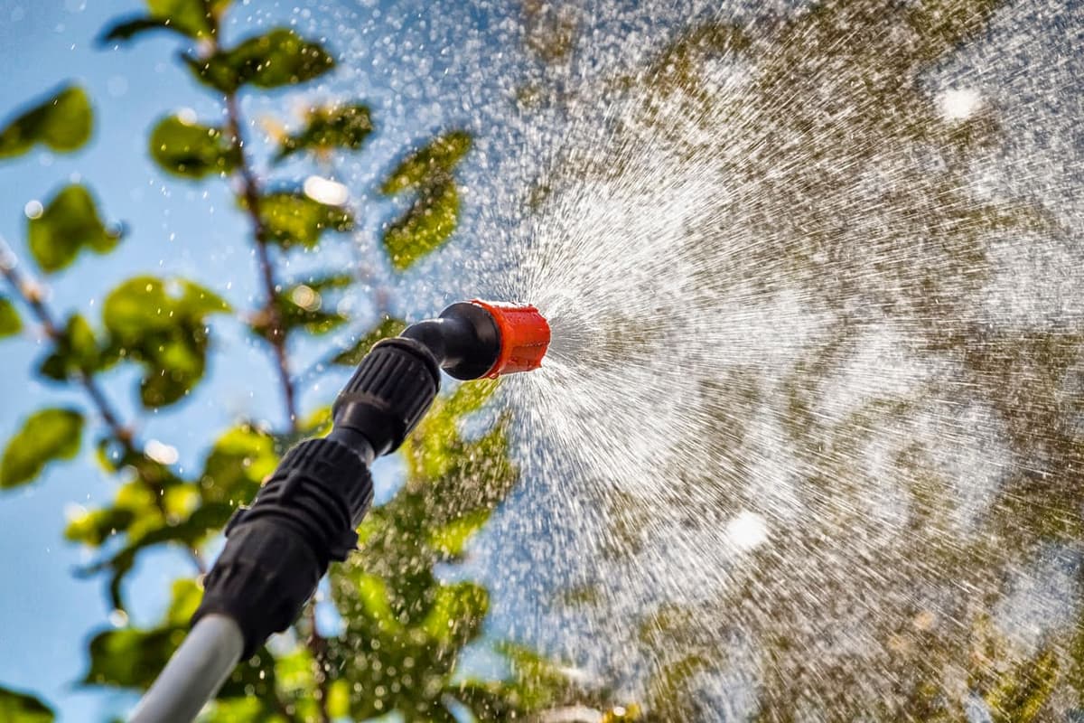 Fertilization — Tree Care Enterprises