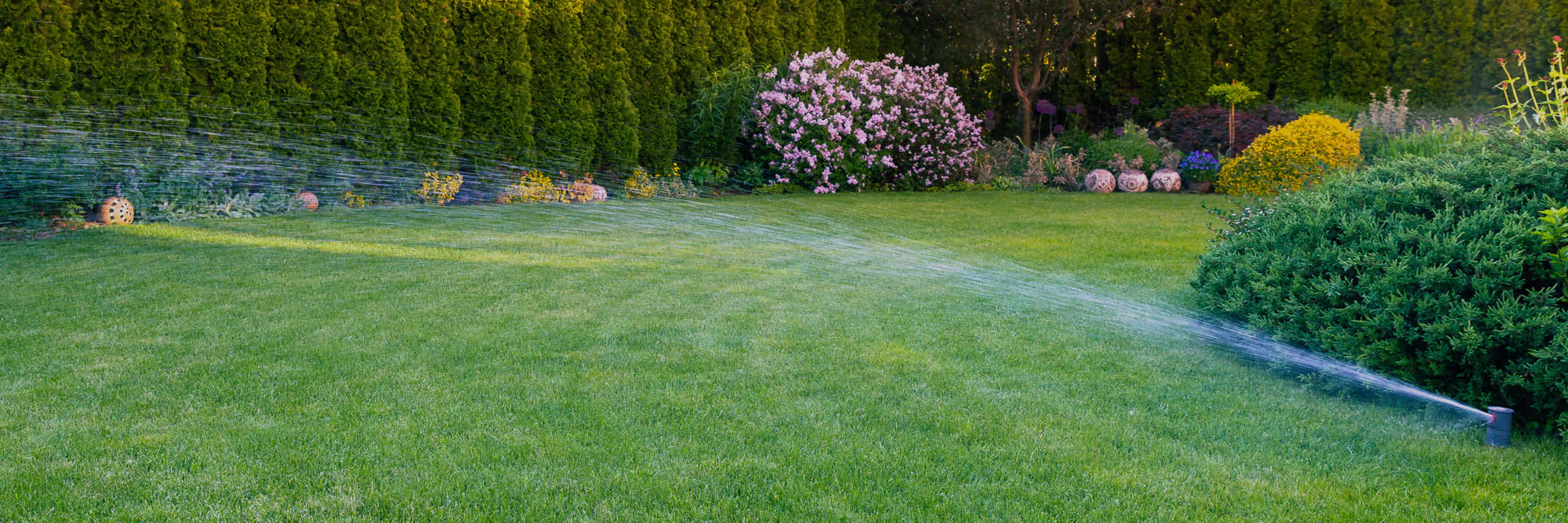 Irrigation services from Tree Care Enterprises in Rockford, IL