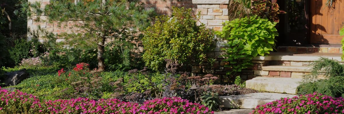 Landscape Services services from Tree Care Enterprises in Rockford, IL