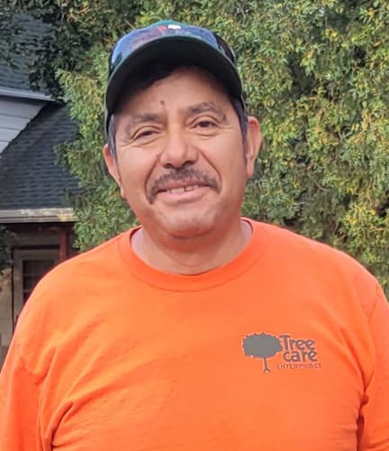 Jose Belmontes, Tree Department