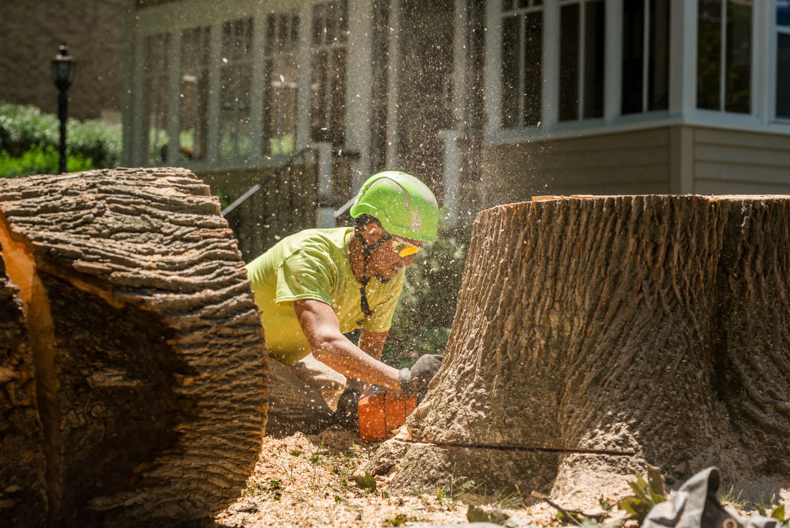 Groundsman cuts stump